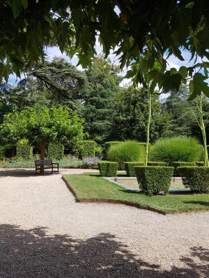 Le Clos De La Deesse La Ferté-Saint-Cyr Eksteriør bilde